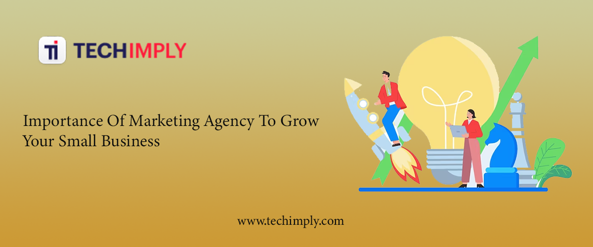 Importance Of Marketing Agency To Grow Your Small Business